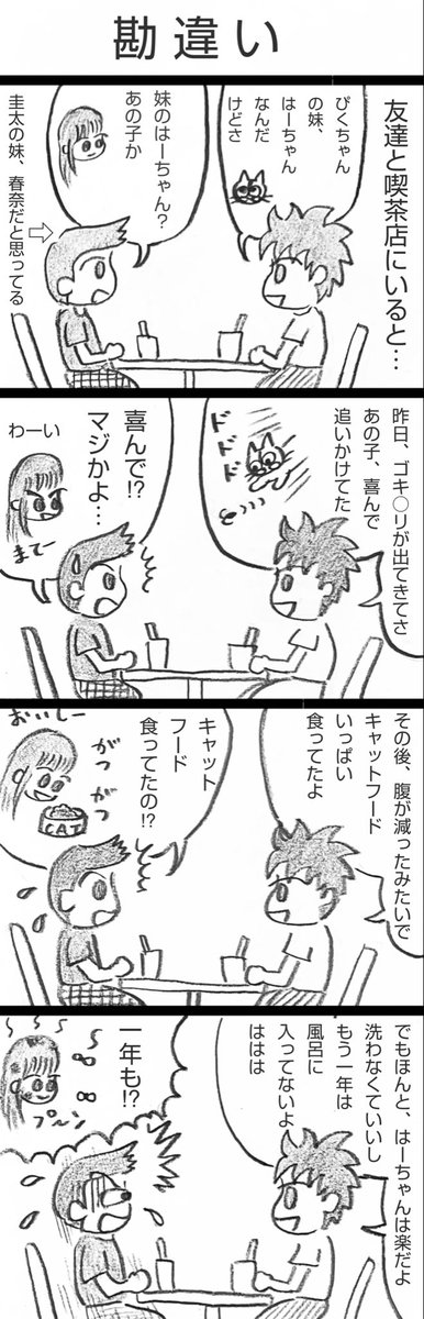 ☕️ えんぴつ四コマ漫画
　サビねこ 🐾 はーちゃん

『勘違い』

#猫 #漫画 #四コマ漫画
#漫画が読めるハッシュタグ