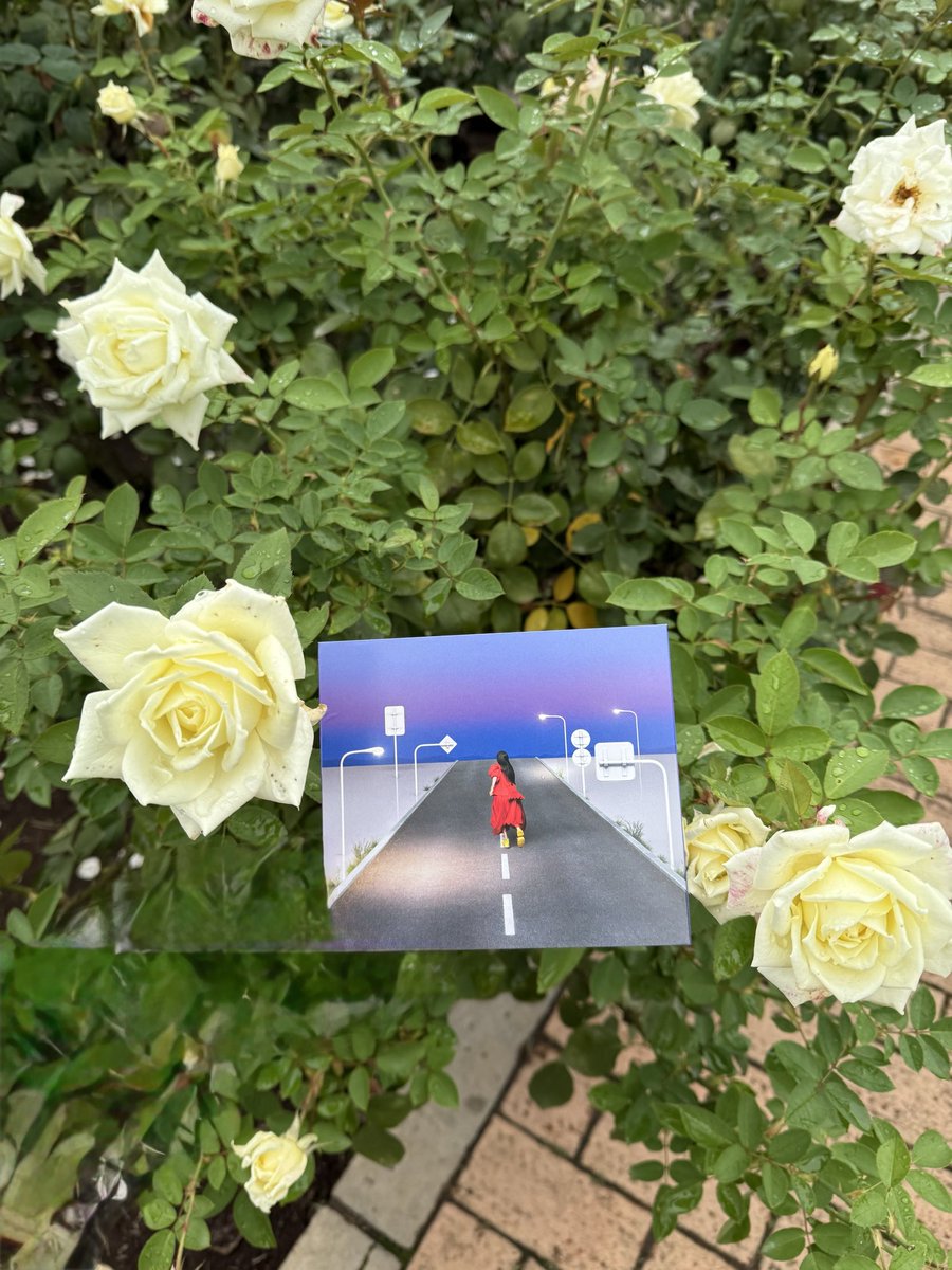 炎花 p-chan 🎶🎸🥐🍞🥨🥖 on X