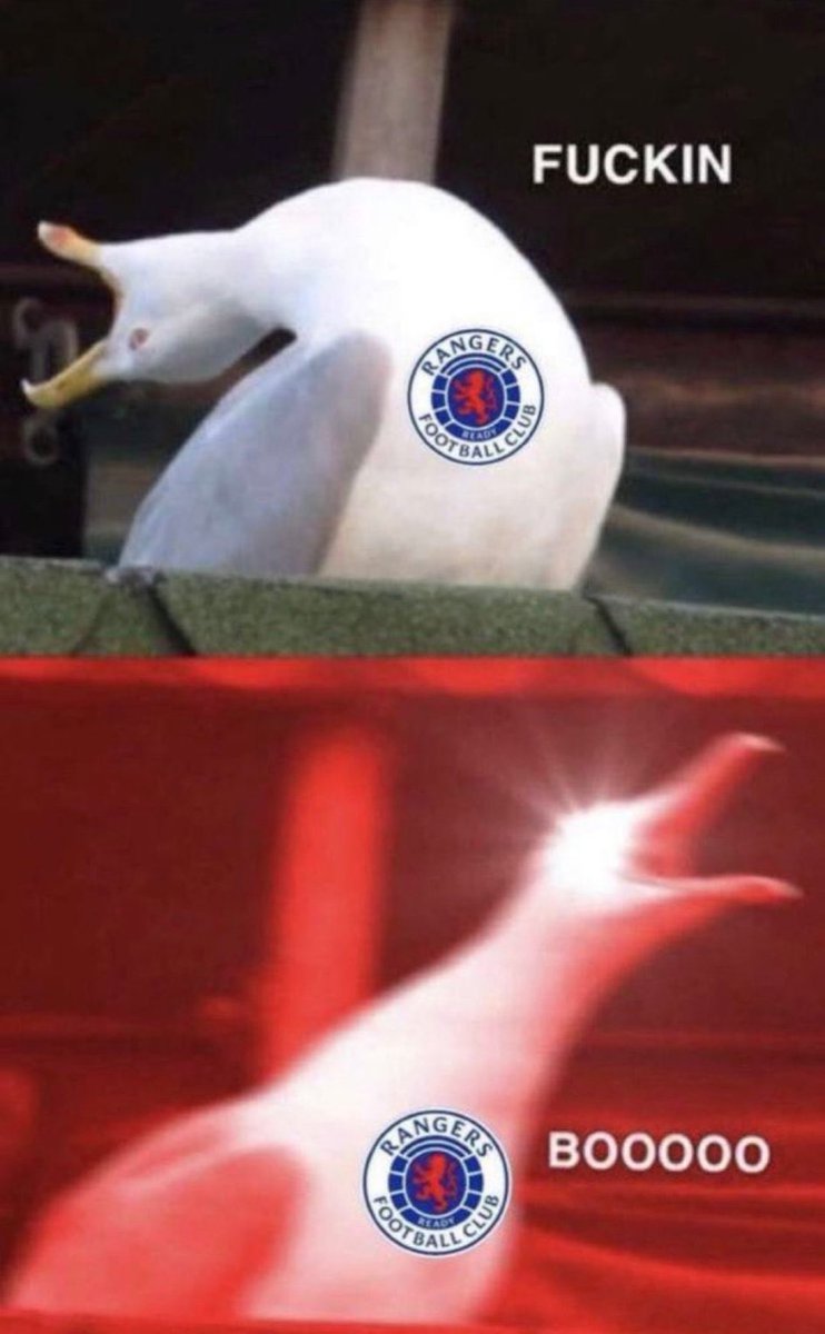 GavinBrown95's tweet photo. @RangersFC @RangersTV https://t.co/UM4kCBYiuU