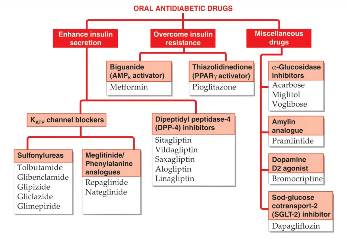 nervemed's tweet image. Oral Anti Diabetic Drugs