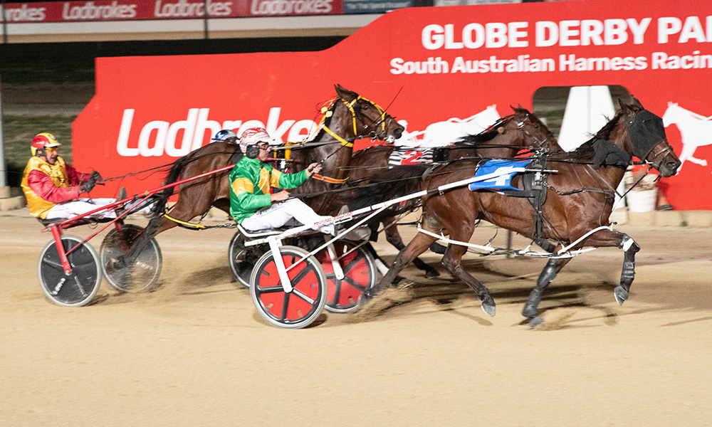 Harness Racing SA tweet media