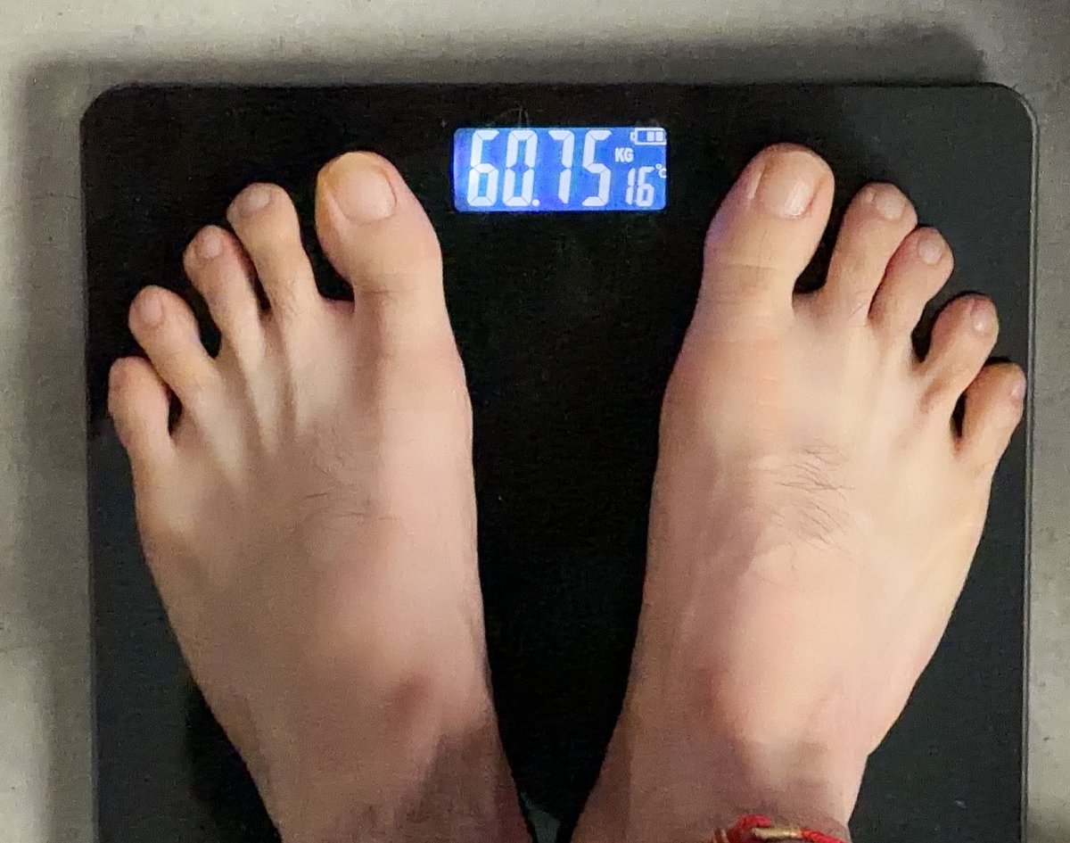 你的小狼狗耿耿 tweet media