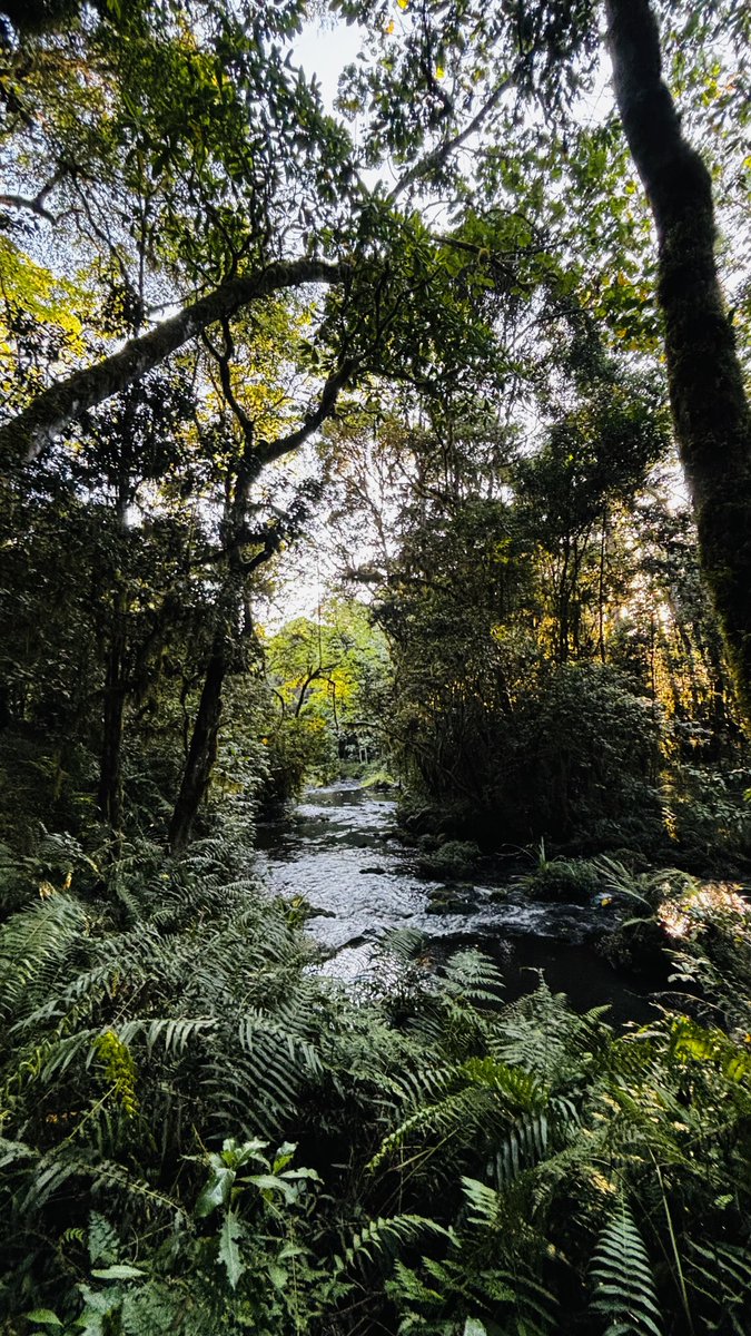 MsMacharia's tweet image. I lost cell service over the weekend and found beauty again 💚