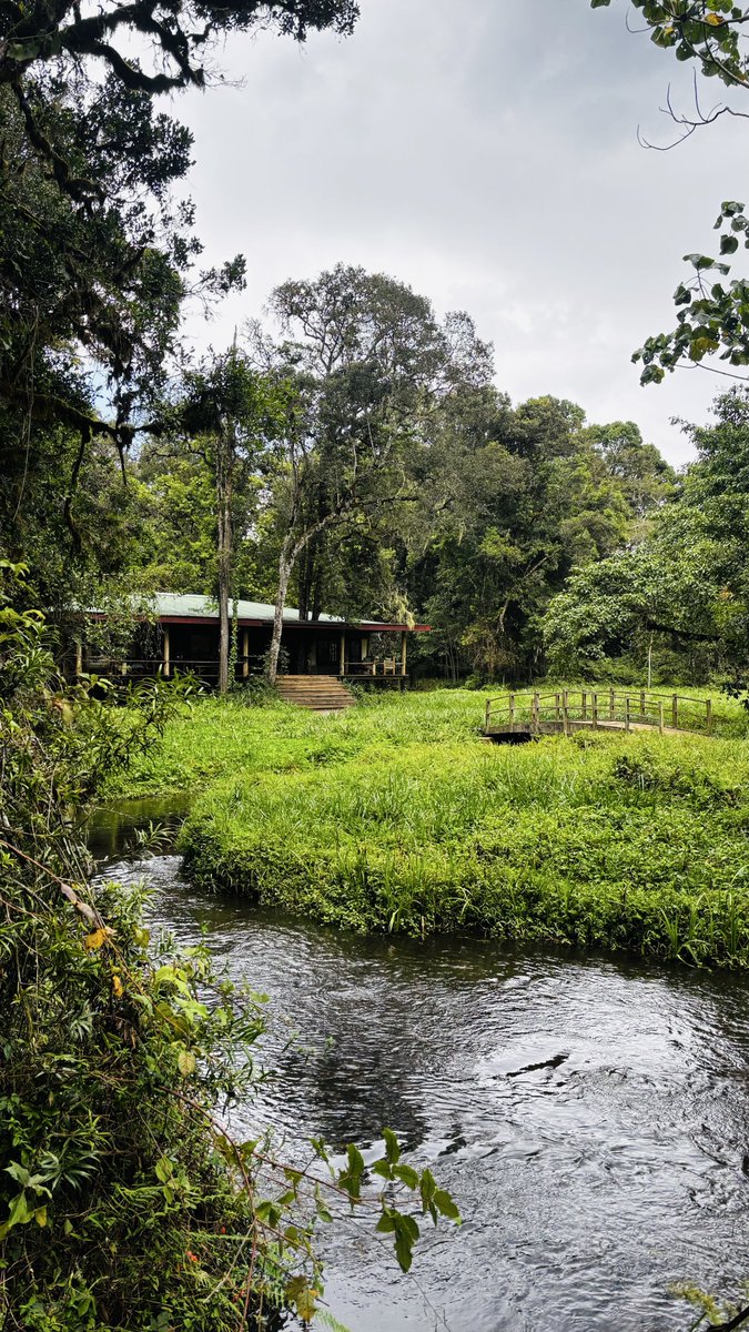 MsMacharia's tweet image. I lost cell service over the weekend and found beauty again 💚