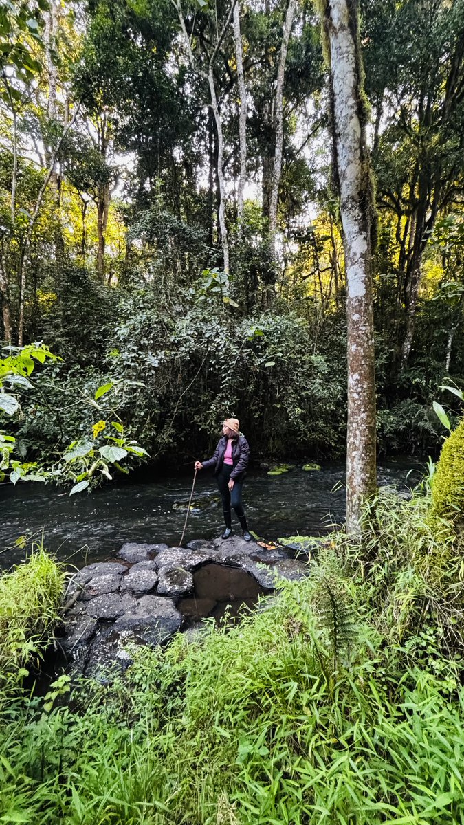 MsMacharia's tweet image. I lost cell service over the weekend and found beauty again 💚