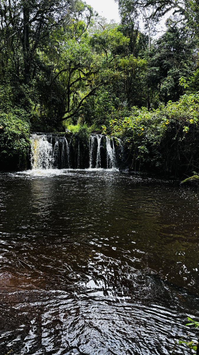 MsMacharia's tweet image. I lost cell service over the weekend and found beauty again 💚