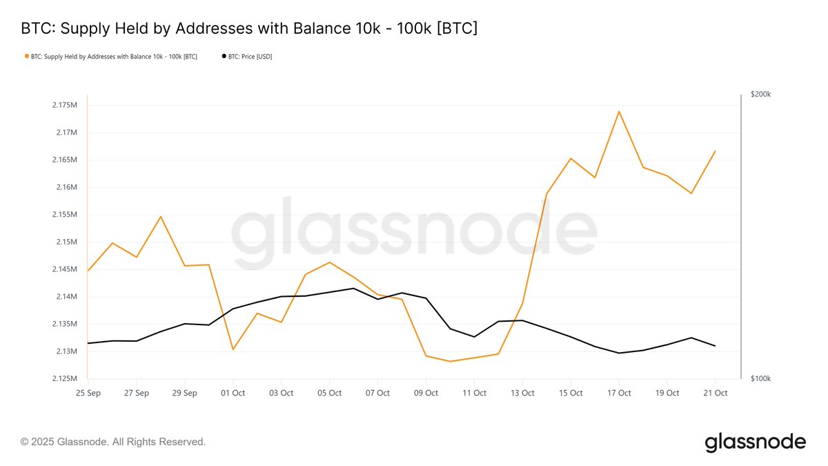 danielllradu's tweet image. Balenele profită din nou de panică.
După corecția din 10 octombrie, adresele care dețin între 10.000 și 100.000 BTC au acumulat peste 45.000 BTC.

Retailul vinde din frică, capitalul mare cumpără timp.
Diferența? Unii reacționează, ceilalți planifică.