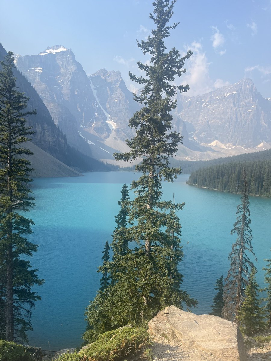 ann-marie lawson tweet media