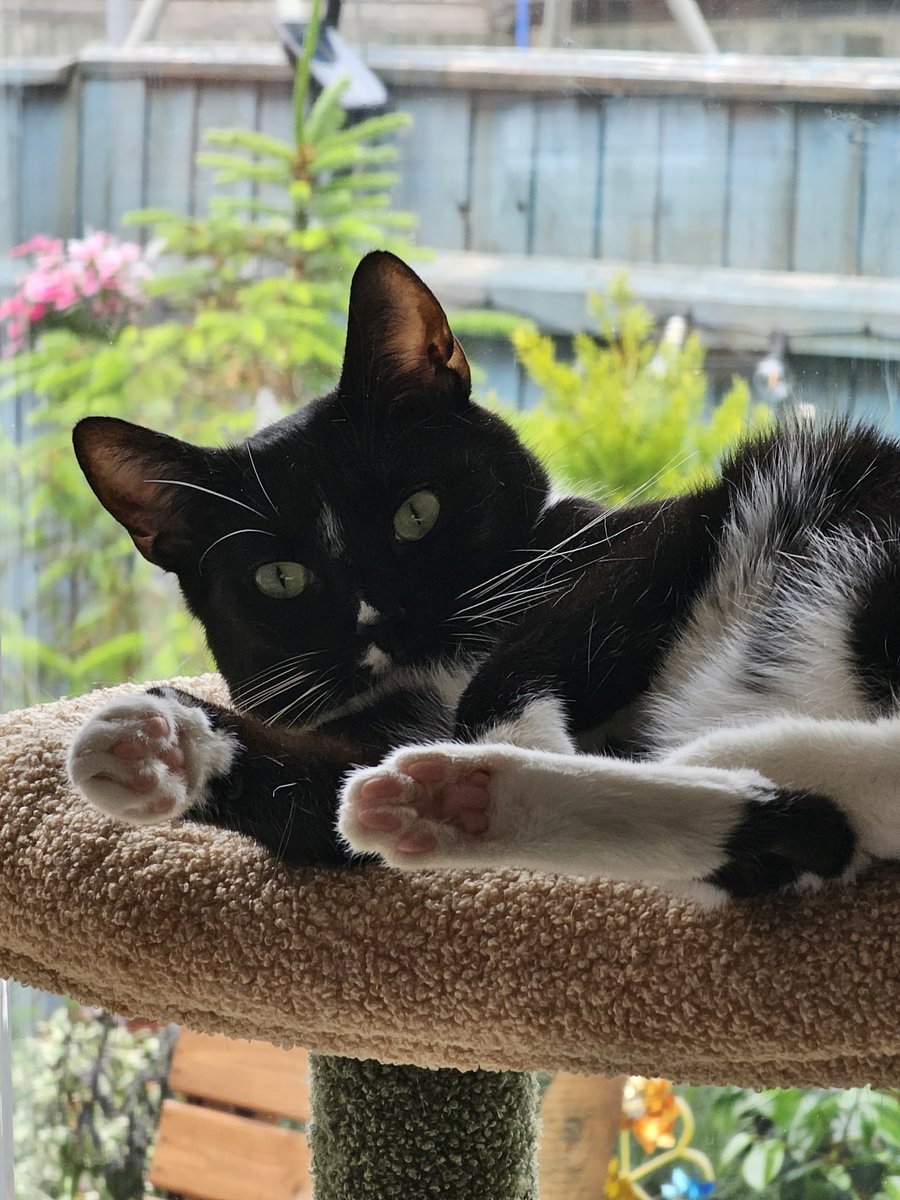 Paul Hardy tweet media