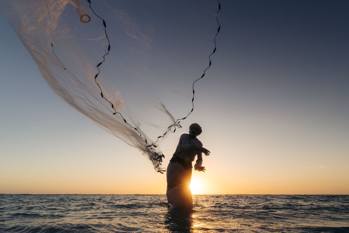 AMAALA | أمالا tweet media