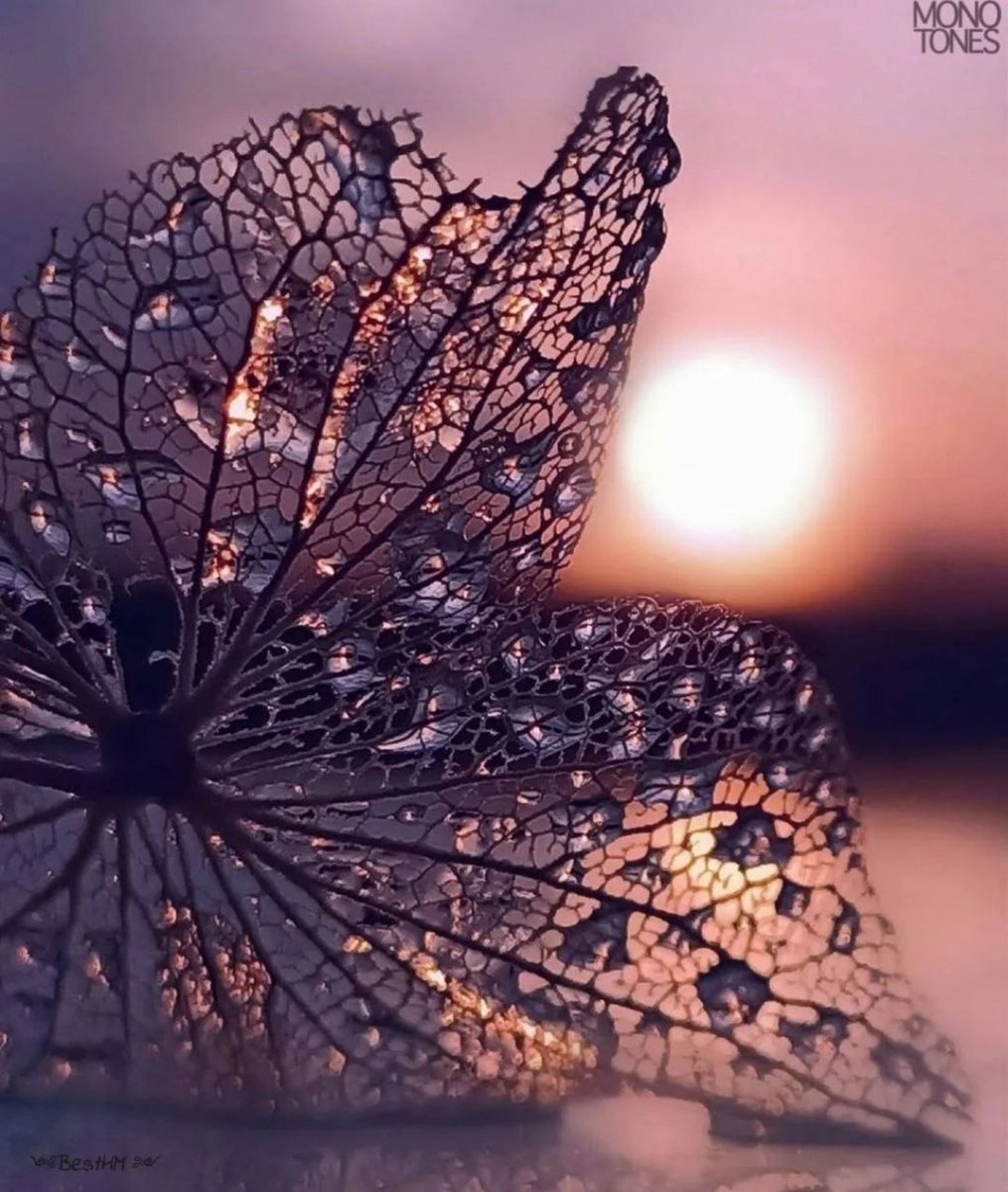 Miep51082958's tweet image. #Fragile
