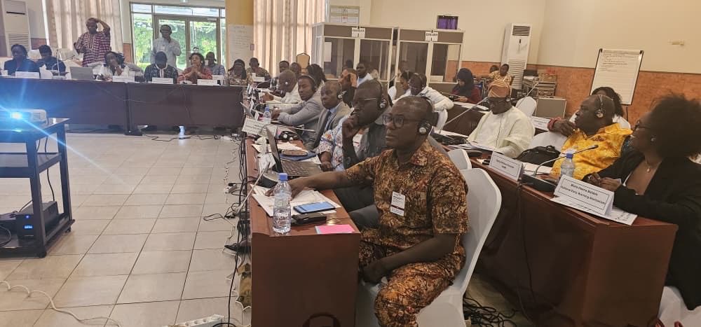 WANEPNigeria's tweet image. #ThrowBackPost 🌍

From 29th Sept to 3rd Oct 2025, @WANEPNigeria participated in a 5-days Regional Capacity-Building Workshop on Mainstreaming Human Rights in Early Warning, organized by @_AfricanUnion in collaboration with @GIZ, @ecowas_cedeao and the @UnitedNationsHumanRight