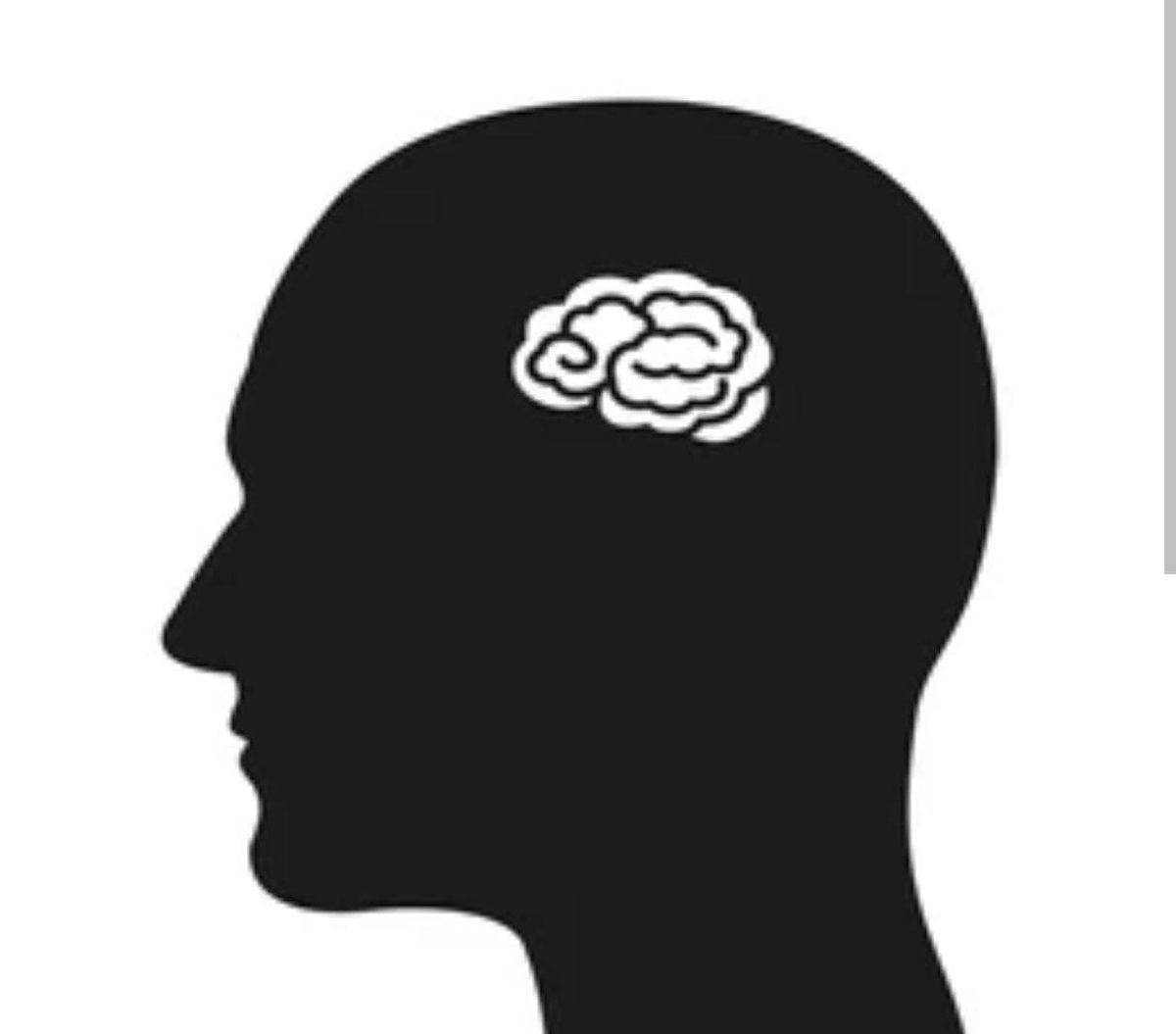 papoaminCD's tweet image. El Presidente @petrogustavo dice que el insulto mide el tamaño del cerebro. 

Seguramente él lo tiene bien pequeño ante tanta vervorrea llena de odio y ataques infundados que se la pasa haciendo.