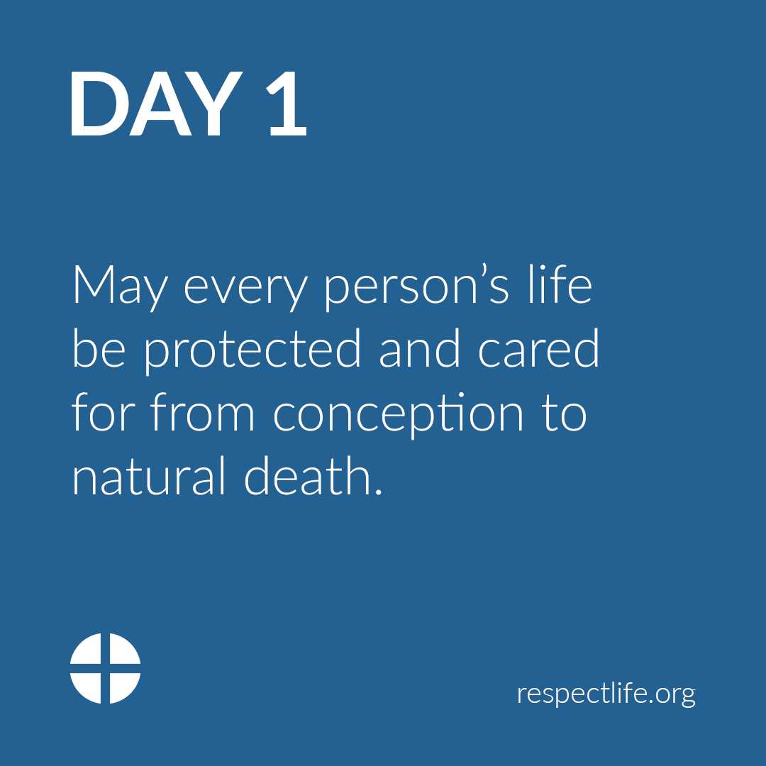 U.S. Conference of Catholic Bishops tweet media