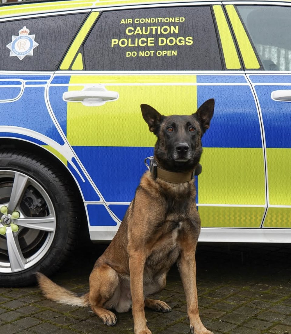 Police Mutual tweet media