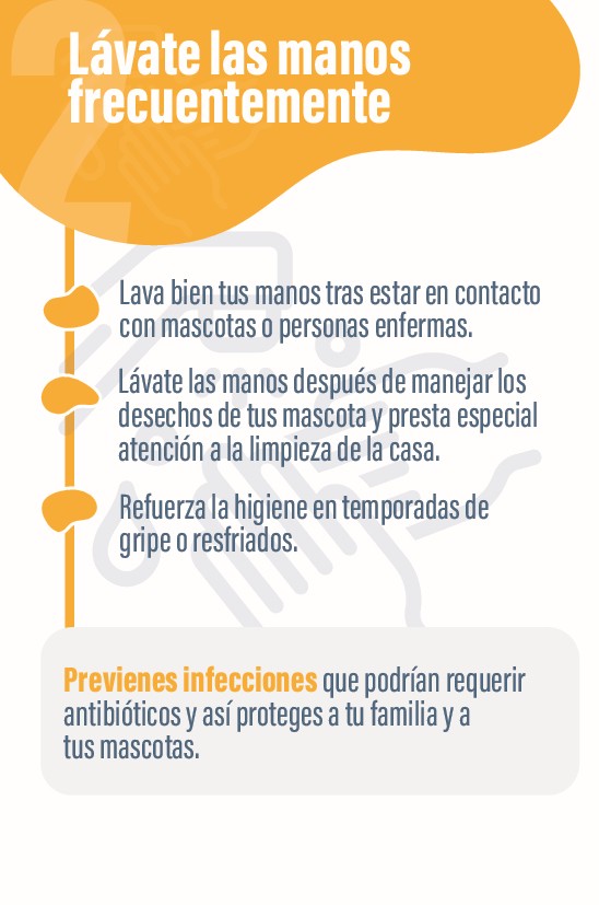La #RAM #ResistenciaAntibióticos es una pandemia silenciosa que podemos combatir con
gestos tan sencillos como lavarnos las manos con frecuencia. Y es que las bacterias se pueden
transmitir entre humanos y animales, también en casa.
ecodes.org