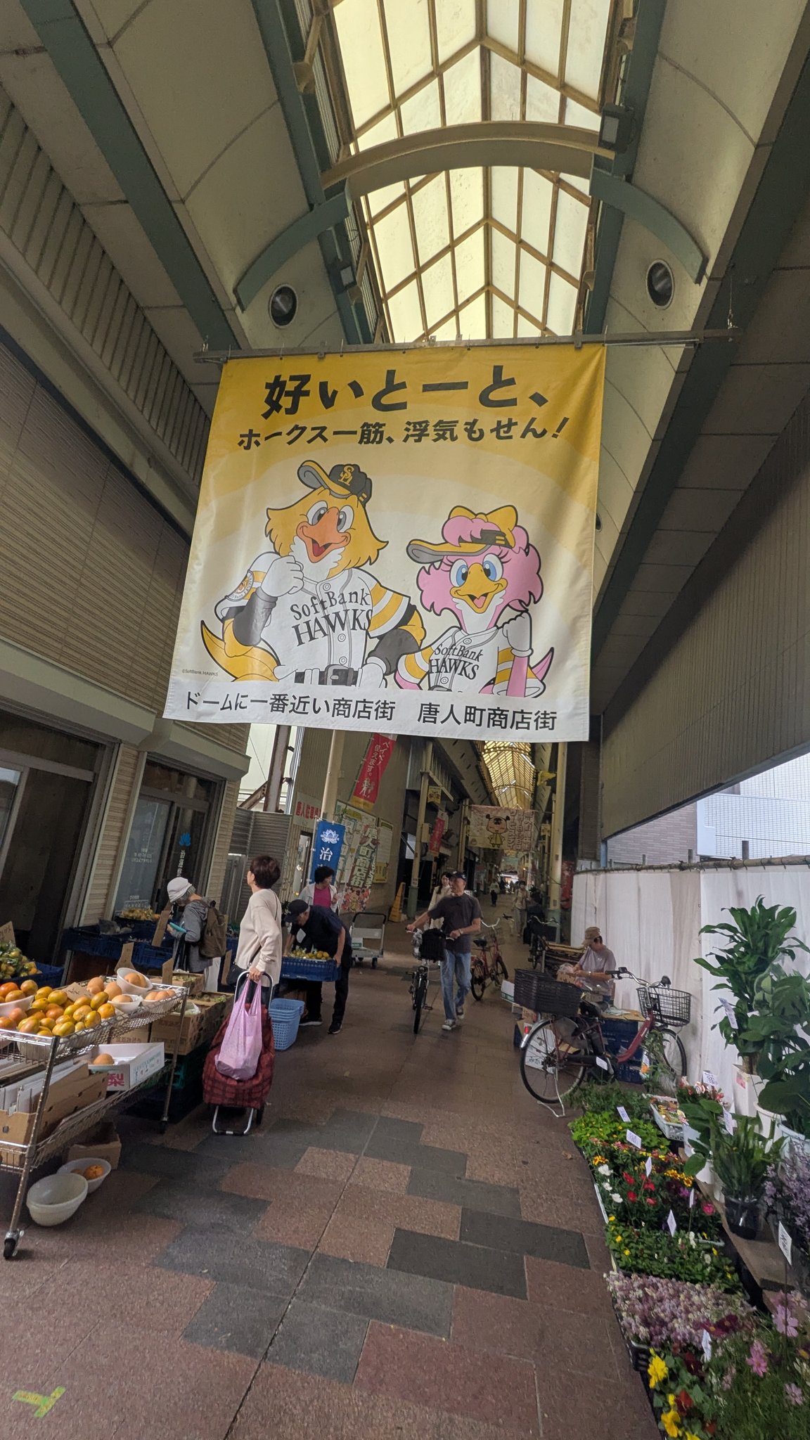 はむおじ⭐️ はむおじ (@hamuozi562) / X