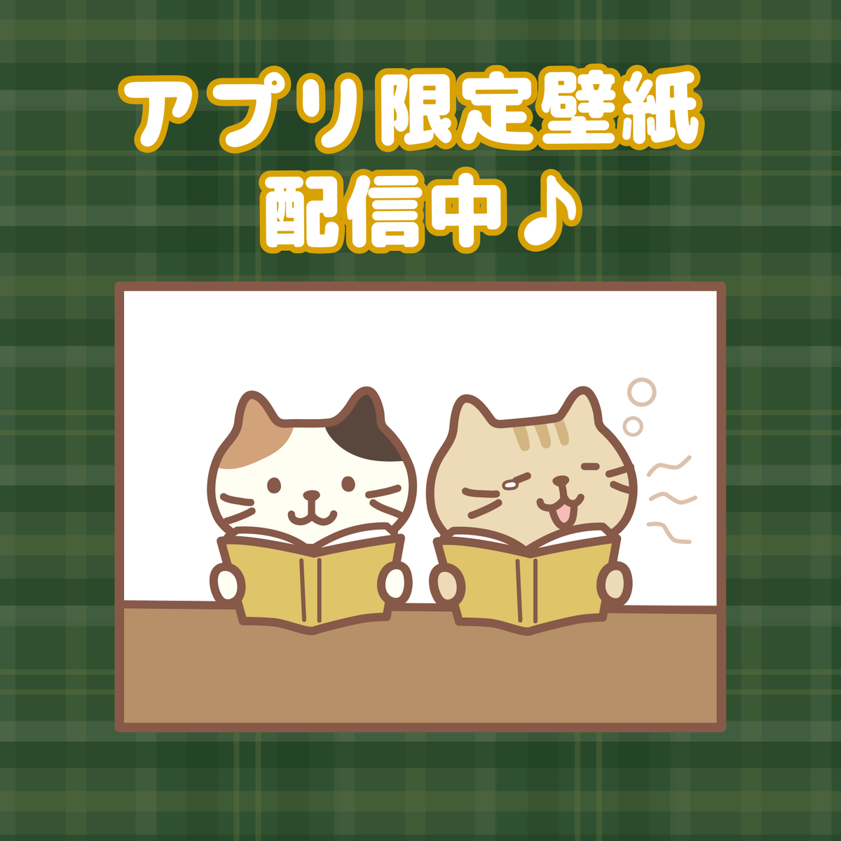Fuku Fuku Nyanko(ふくふくにゃんこ) (@fukufuku_nyanko
