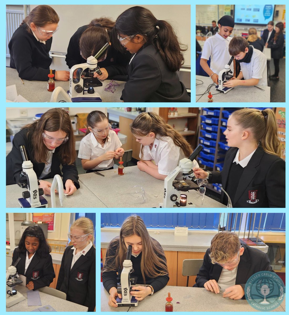 BCACS_Science's tweet photo. Mr Walsh's Year 7 class got hands-on in science this morning, diving into the classic onion cell practical. A first look at the building blocks of life. Some serious microscope skills on display! #FutureScientists #Year7Science @BishopHedleyRC https://t.co/NIGbqSJc68