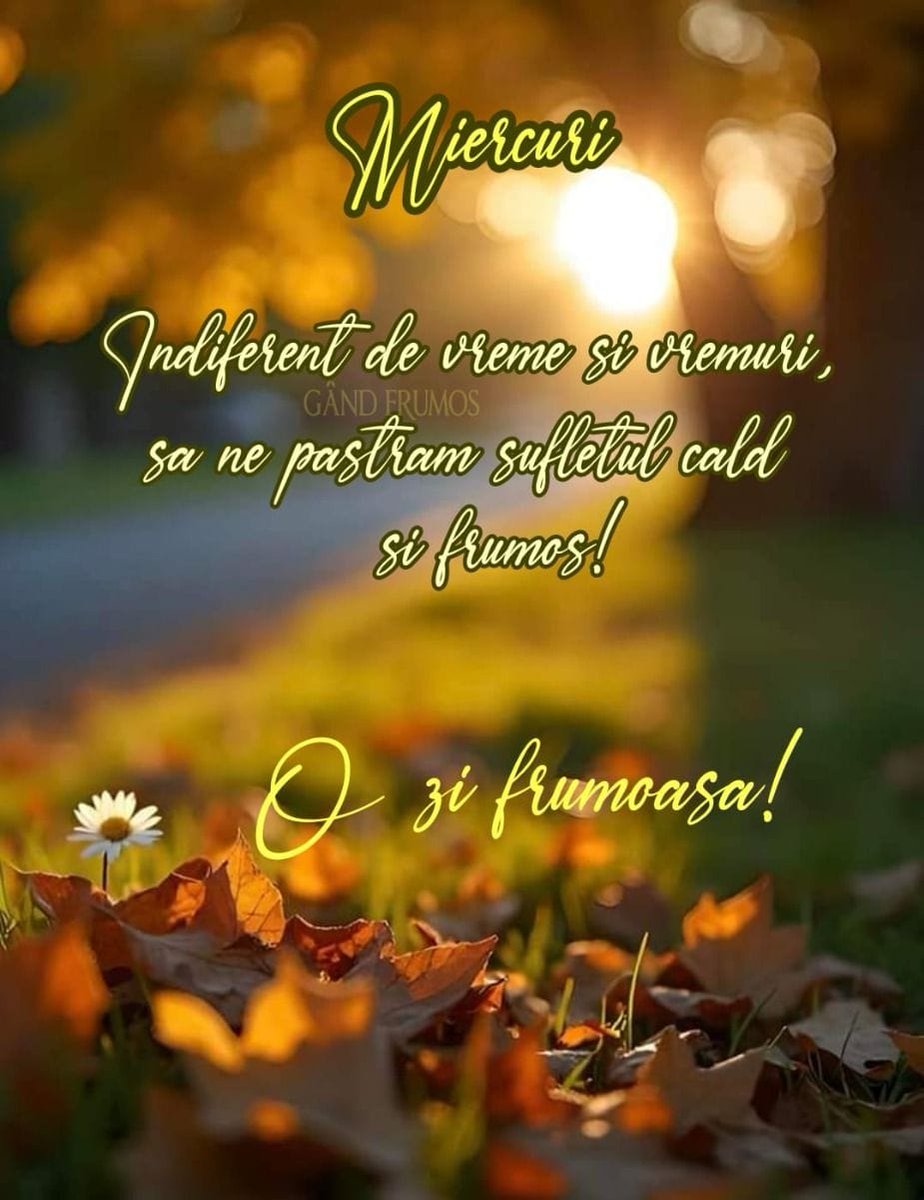 O după-amiază frumoasă și liniștită vă doresc tuturor alături de cei dragi vouă!🍂🙏🍂