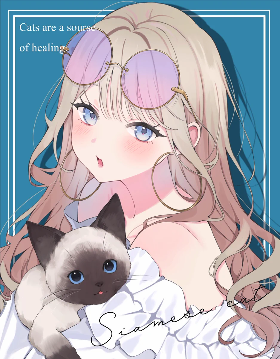 猫の寅 猫とら。 on X: 