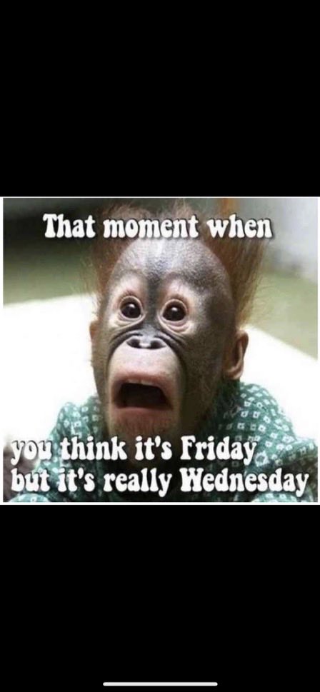 Good Morning!! 🇺🇸😊☕️☕️