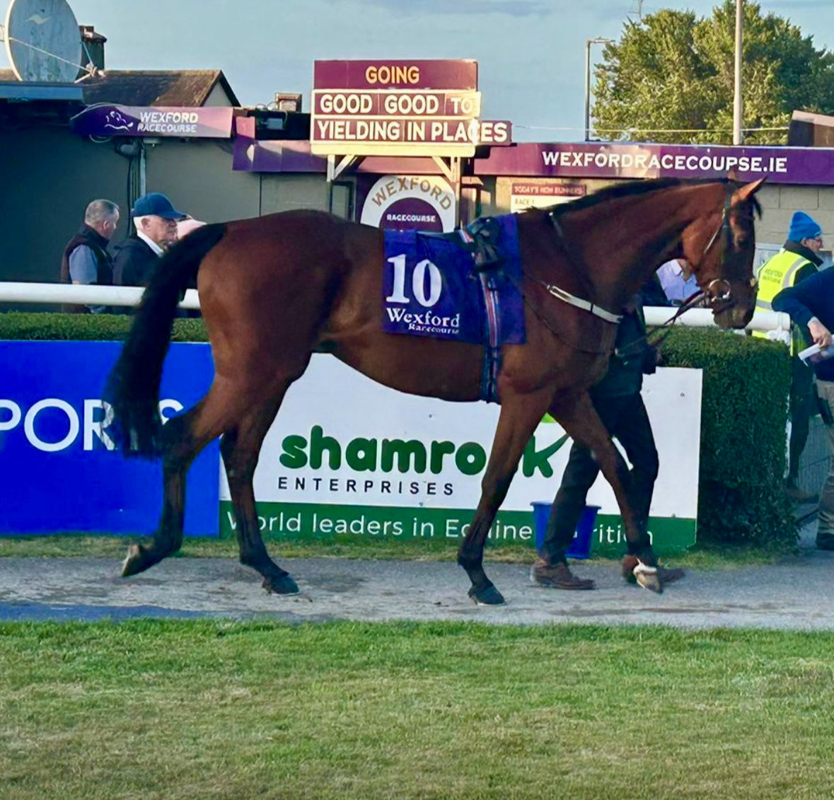 Closutton Racing Club tweet media