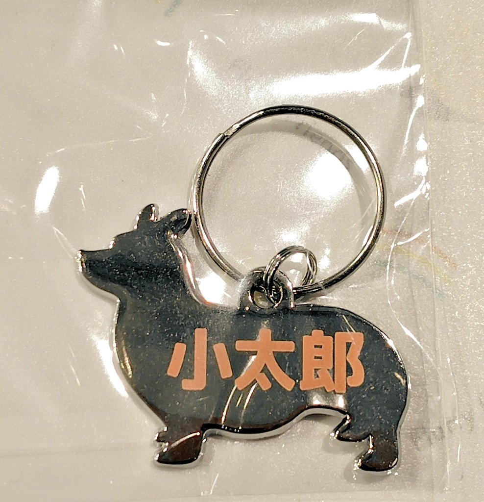 コーギー(corgi) on X