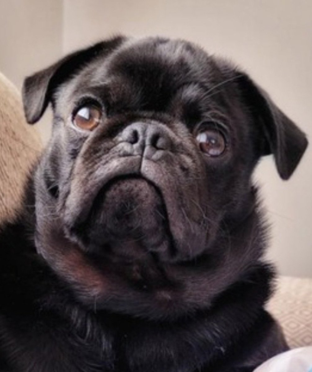 Çizimler bu şekilde oluyor :) Siz de bu şekilde sevdiğiniz bi fotoğrafı eşsiz bi hatıraya çevirmek isterseniz, keyifle siparişinizi beklerim 🤍