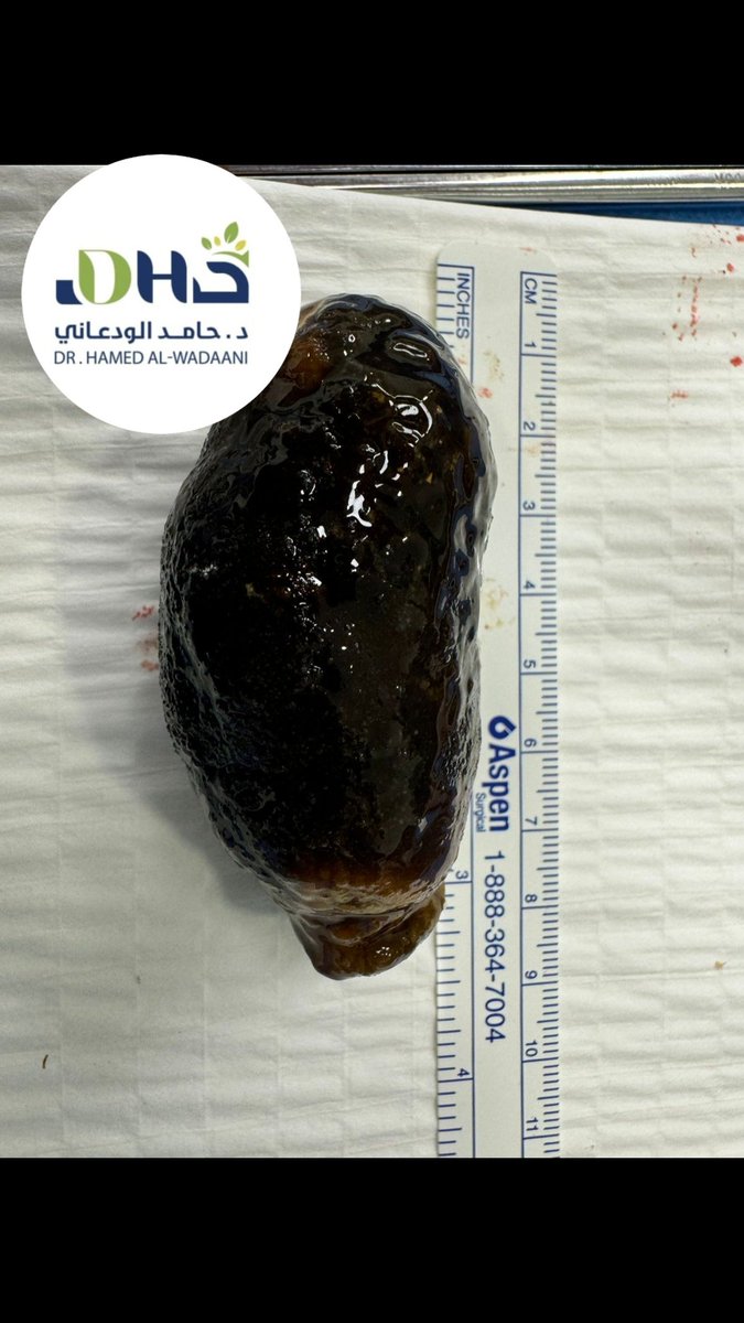 أ.د.حامد الودعاني tweet media