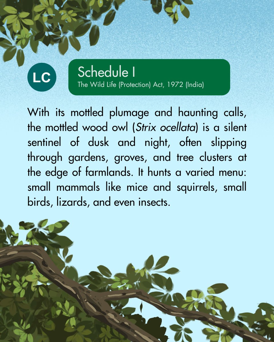 WCS-India tweet media