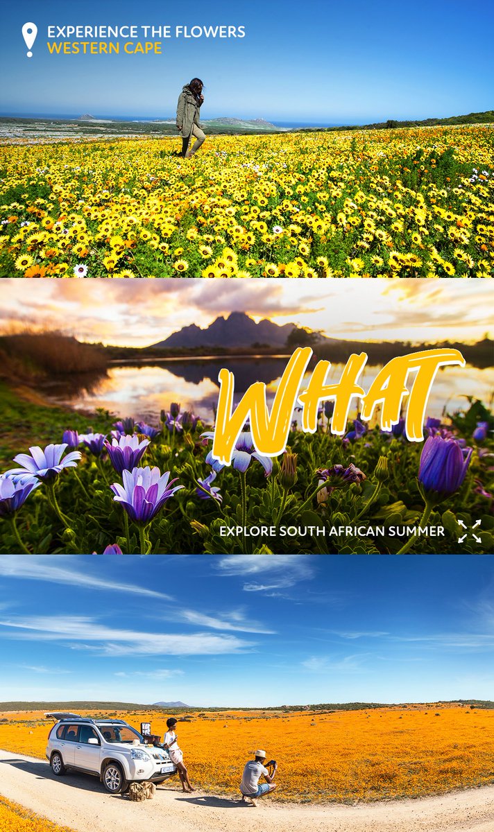 Visit South Africa, Africa tweet media