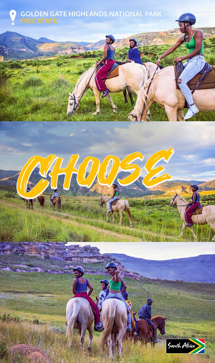 Visit South Africa, Africa tweet media