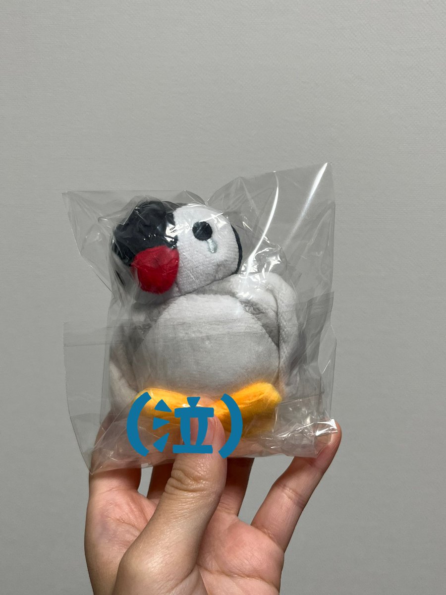 半分くらい炎上してしまいましたが、その甲斐あって(？)心優しい方からめそめそピンガ譲っていただけました😭本当にありがとうございます！

Twitter最高‼️人間大好き‼️