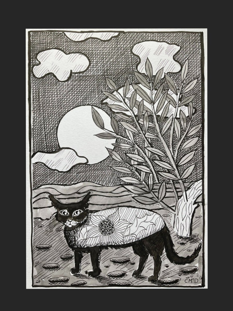 paintercarol's tweet photo. I’m having so much fun drawing these quirky cats #cats prints available #art #drawing #catdrawing https://t.co/nH30Qap6XH https://t.co/fezEnXjCyS