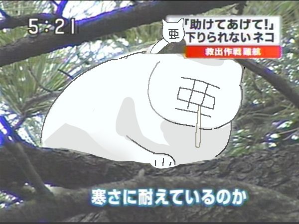 雑トレス