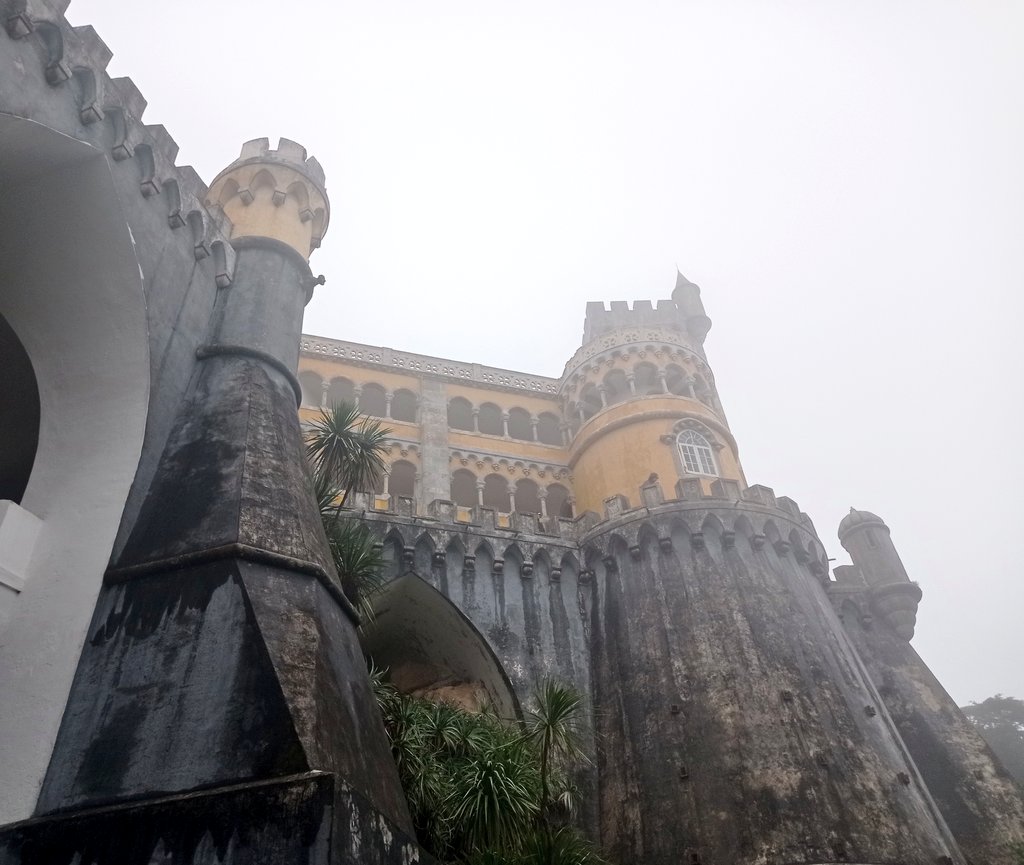 Los búhos no tienen buche tweet media