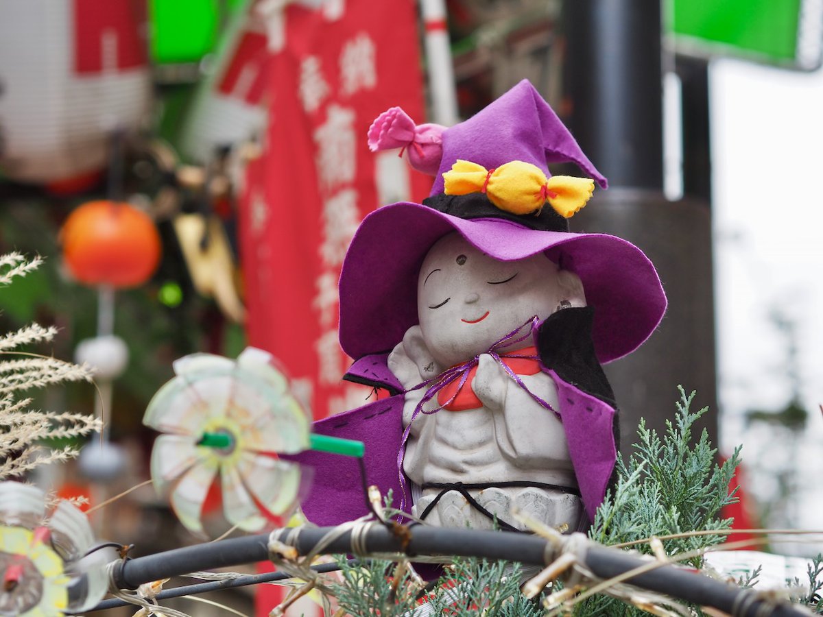 ■権家様■  arty ⁸₂₂🎸📷🍜🍶 on X