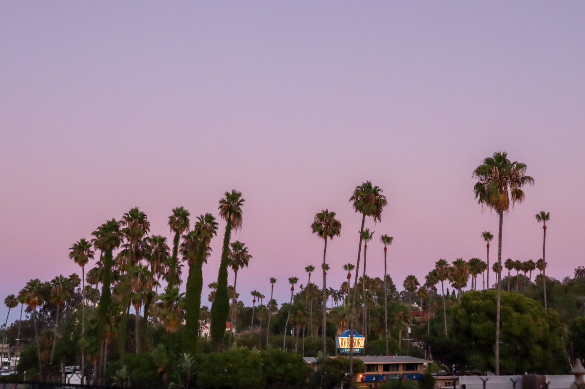 アメリカ留学時代の同志達と話すと、高市さんが首相になったことを喜んでる人が多い。自分の周りだけかもしれないけど、海外に出て保守的になる人が多いのは、母国を離れて日本を客観視し、日本の良さや先人への感謝を実感し、「次世代に良い日本を繋げていきたい」という気概が芽生えるからだと思う。