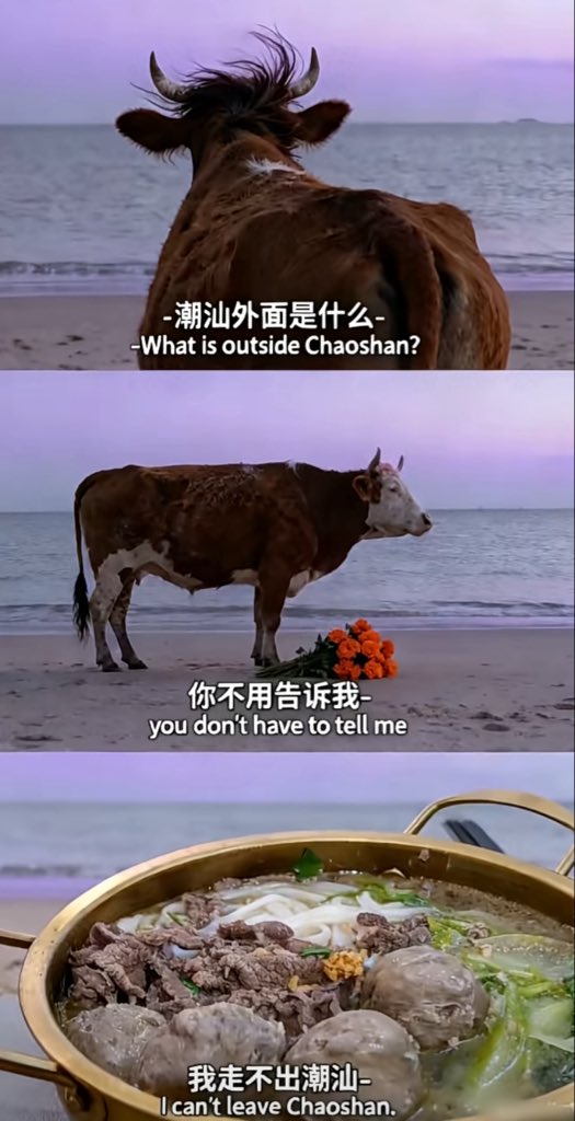 广东一直在勾引我😶