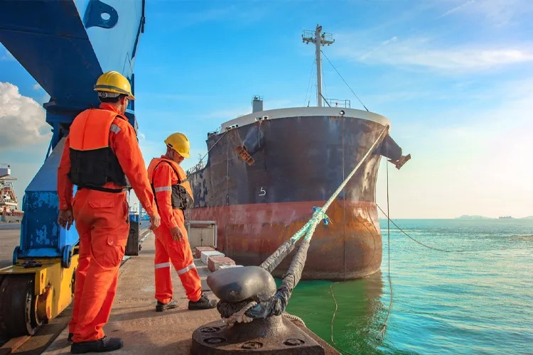 DLİ mezunlarına gözetim yetkisi

Yeni düzenlemeye göre, Deniz ve Liman İşletmeciliği Bölümü mezunları, uluslararası gözetim şirketlerinde yetkili uzman personel olabilecek.

haberdenizde.com/denizde-gundem…

#DenizveLimanİşletmeciliği #gözetimfaaliyetleri
#NKÜDENLİMDER