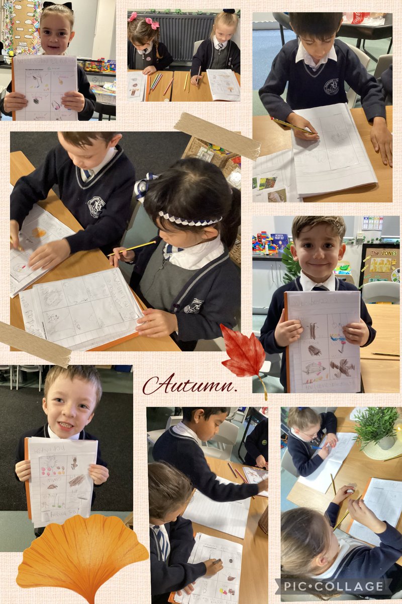 Misswalsh1_'s tweet image. #class12 exploring different signs of Autumn. @Year1Monksdown @MonksdownSTEM 🍂🎃🦔🐿️