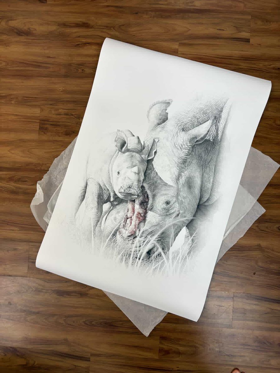 Artfamcdk's tweet photo. A friend of mine, @hoang.everydot
from Vietnam, sent me an absolutely amazing gift โ this breathtaking rhino drawing. ๐ฆโค๏ธ The level of detail, emotion, and artistry captured in this piece truly touches my heart. #rhinolover #wildlifeart #conservationthroughart #stoprhinopoaching https://t.co/HKxl0sz6Hj