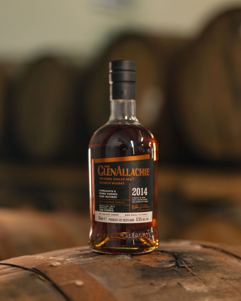 グレンアラヒー 「シンティーシュ シリーズ」第1弾登場✨ 【2014