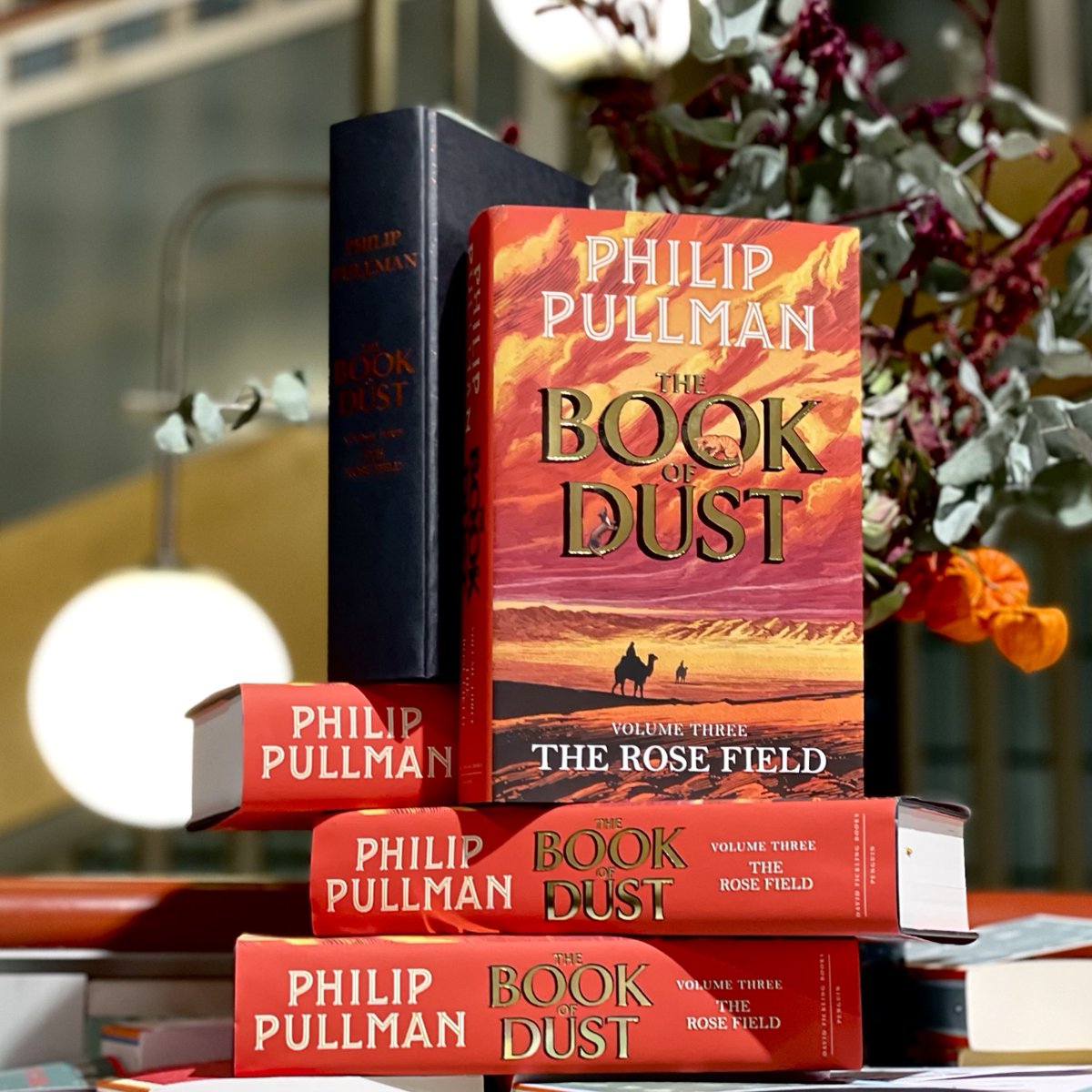 Waterstones's tweet photo. Published 30 years after readers were first introduced to Lyra Belacqua in the seminal Northern Lights, Philip Pullman's breathtaking culmination of The Book of Dust trilogy THE ROSE FIELD is out today! Exclusive Edition: https://t.co/uYR3mvgBcl https://t.co/hruO5h1kA2