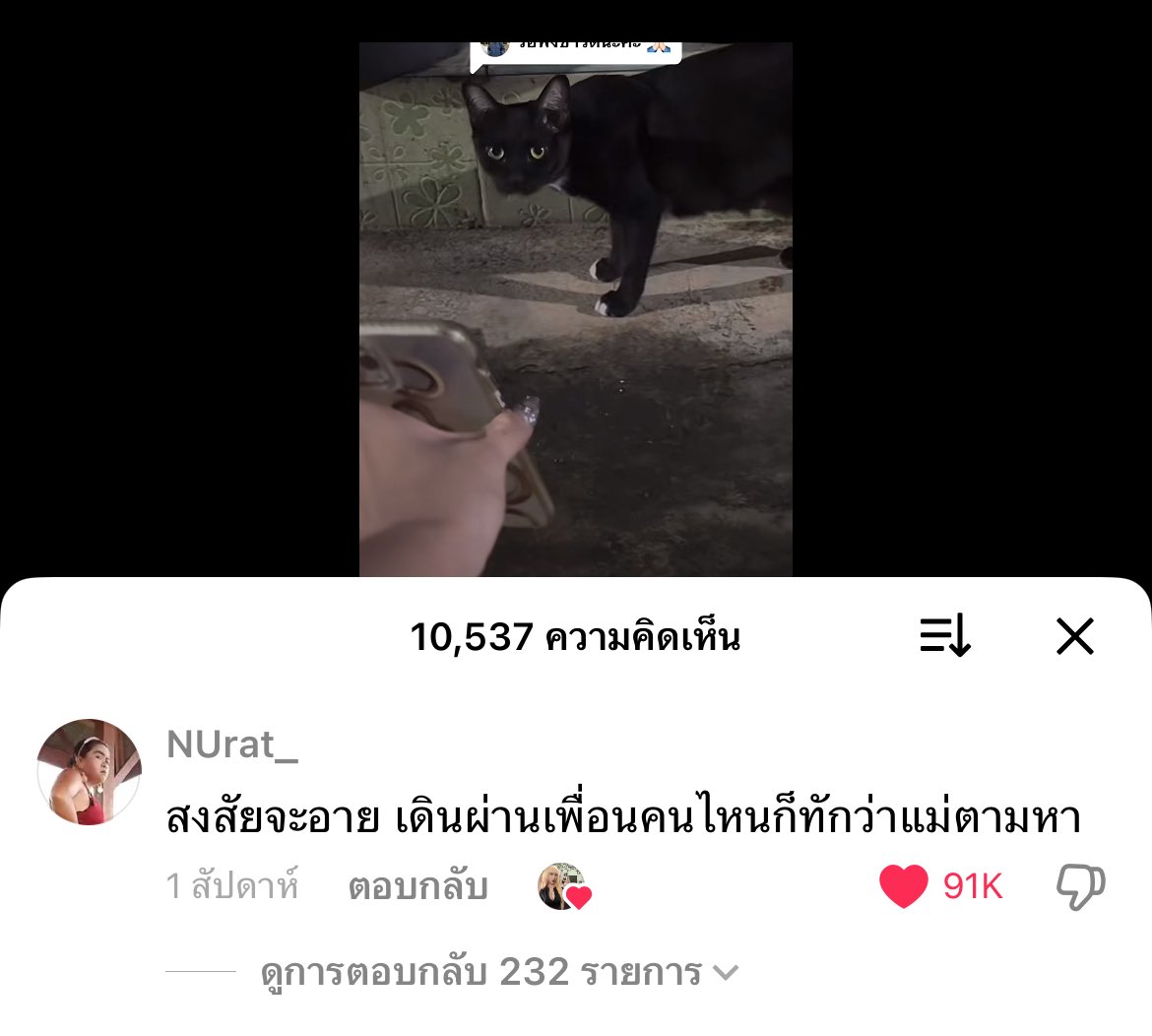 ที่แรกก็เส้า แต่เปิดไปเจอเม้นนี้ ขำเจ่บพุง