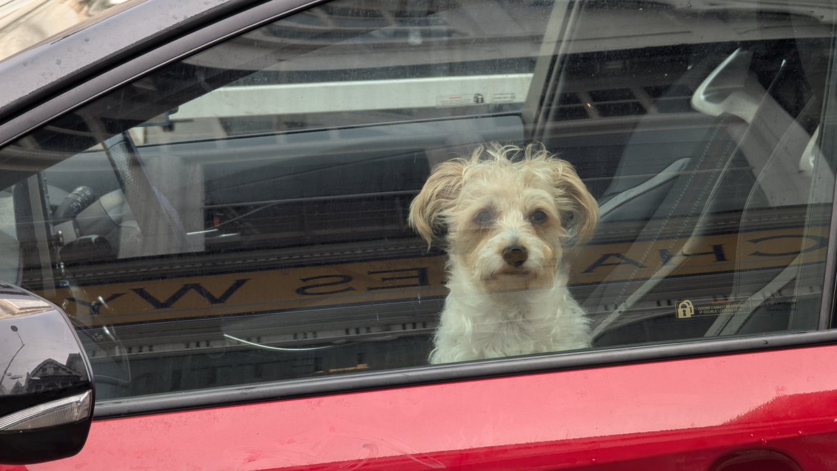 Jon Pratty tweet media