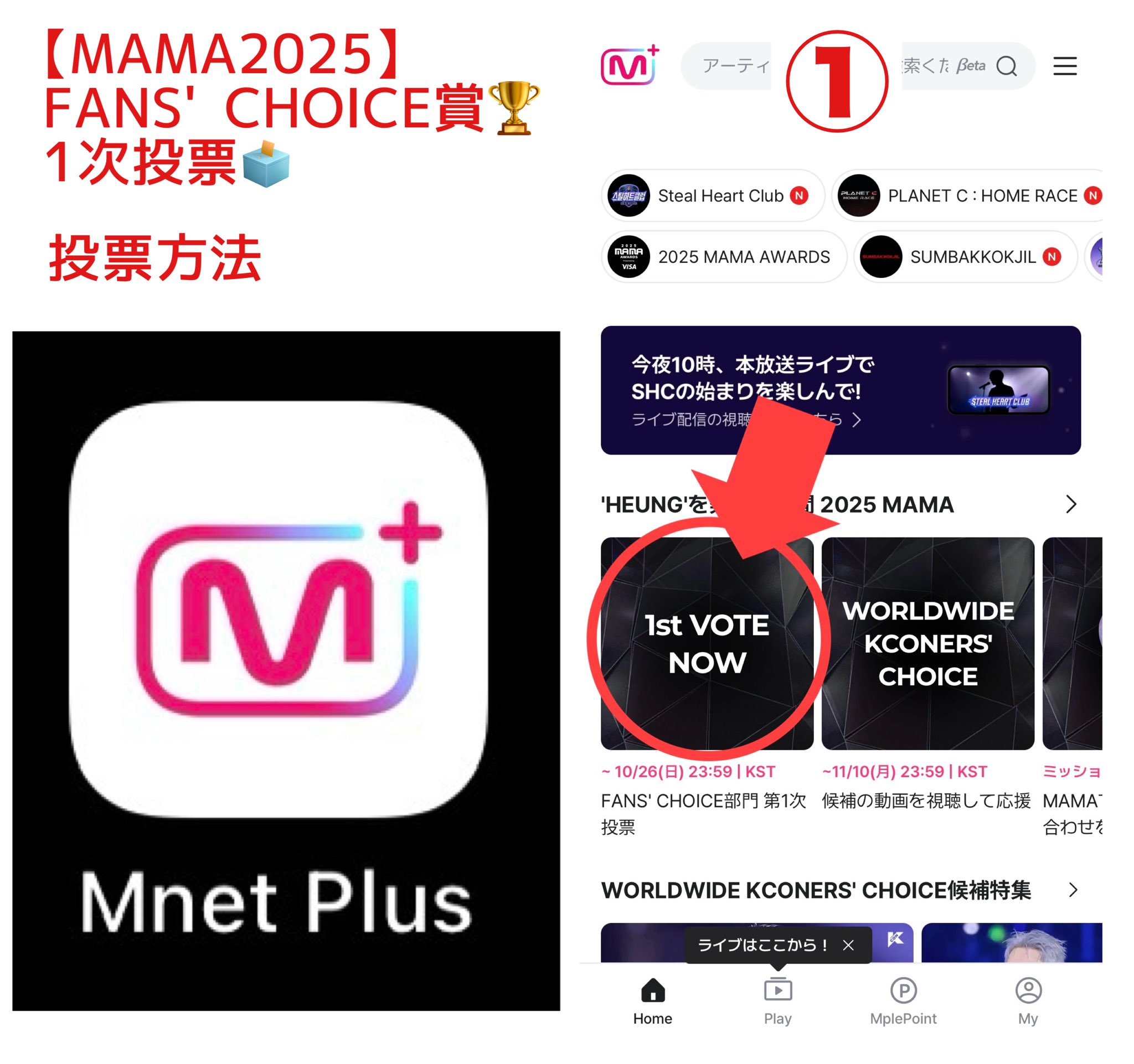 キョンタ おまとめ6点 チェックポイント 33mm 100個 ホイールナット
