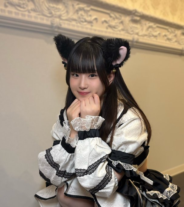 Dolly Catsのツイート