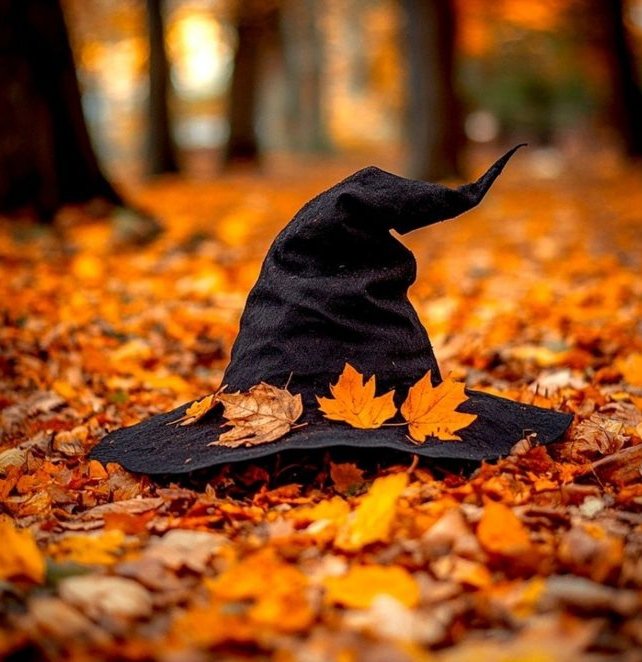 thpinking's tweet image. ㅤ
"Tasker Reiko sedang menjadi penyihir yang suka mengutuk orang yang tidak memberikan permen."
ㅤ